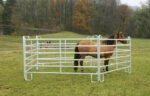 Kerbl Weidepanel 240 cm bis 360 cm