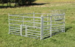 Kerbl Steckhorde für Schafe (Schafpanel)