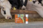 Agrochemica Calzogol Bolus 4 x 175 g