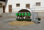 Kerbl Kälberhütte Premium XL mit Umzäunung