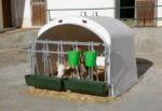 Kerbl Kälberhütte Premium XL mit Umzäunung