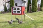 Mobiler Hühnerstall Mobile Coop - Holz