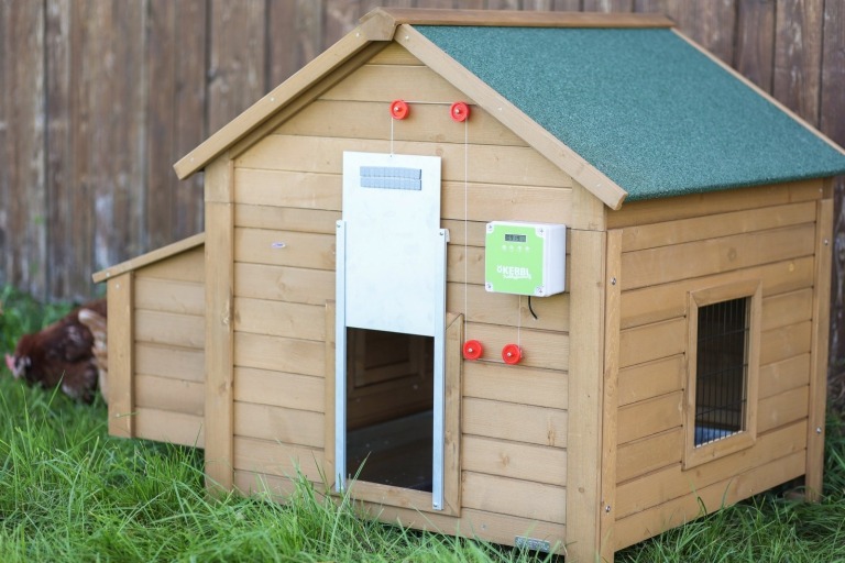 Autom. Hühnertür mit Schiebe- tür