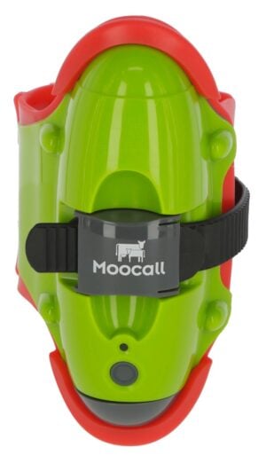 MOOCALL Abkalbemelder für Kühe