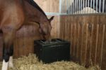 Futterraufe HayBox