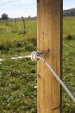 Premium Horsewire 250m, 8mm