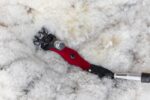 Handstück "Wellington" Worm-Drive