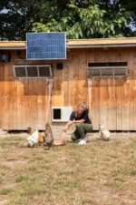 Solarset 100W inkl. Laderegler 12V DC