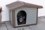 Hundehütte Levin 99x70x75 cm