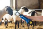 Aesculap Akkuschermaschine für Schafe Econom NOVA CL