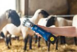 Aesculap Akkuschermaschine für Schafe Econom NOVA CL