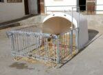 Umzäunung Calfhouse XL
