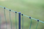 Geflügelnetz Premium, grün,50m 106cm, Doppelspitze, elektrif.