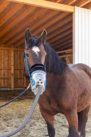 Inhalationsmaske inkl. Zubehör