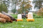 Kerbl Hühner-Komplettset Barney all in one