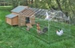 Kleintierstall mit Freilaufgehege und Sonnenschutz
