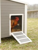 ECO-Kunststoffstall Barney für Hühner, 137 x 73 x 83 cm