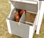 ECO-Kunststoffstall Barney für Hühner, 137 x 73 x 83 cm