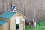 Solar-Akku-Set für automatische Hühnertür
