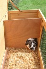 Nagerstall Buddy 116x52x82 cm