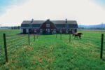 TopLine Horsewire 200m, 6mm, weiß