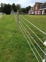 TopLine Horsewire 200m, 6mm, weiß