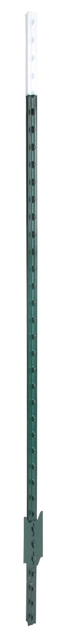 T-Pfahl, 167cm, grün lackiert