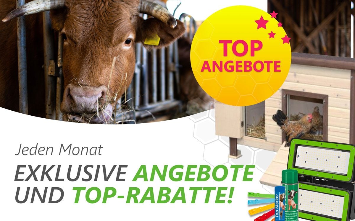 Angebote