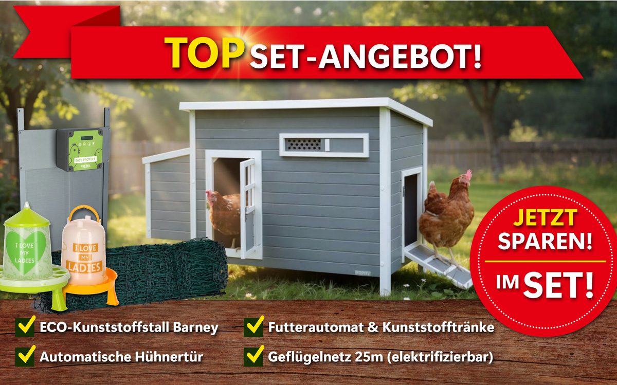 Set-Angebot-1