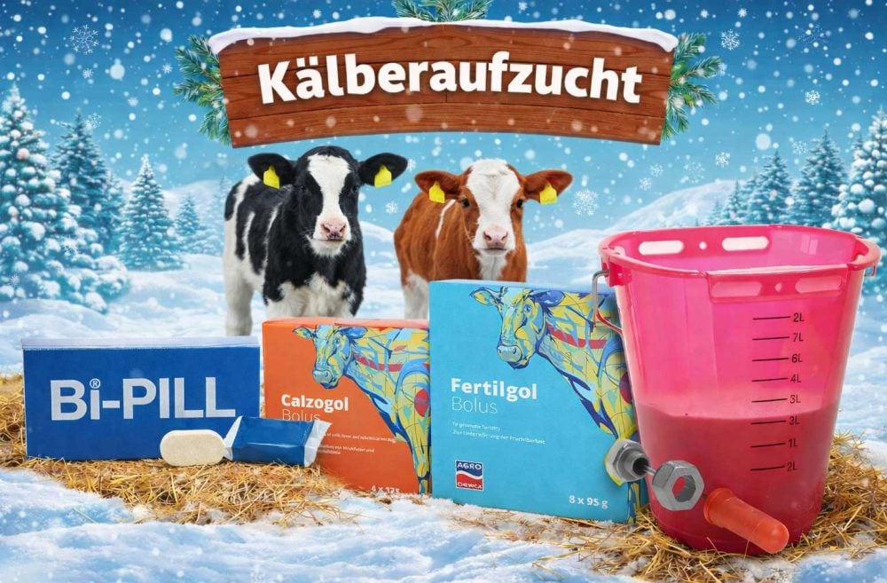 Winter01-Aufzucht-opt